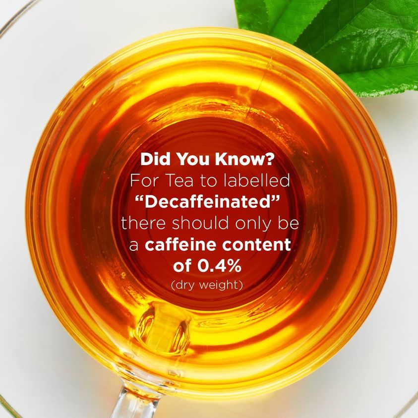 What is decaffeinated tea? Dilmah South Africa